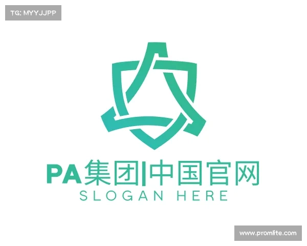 关于PA集团|中国官网